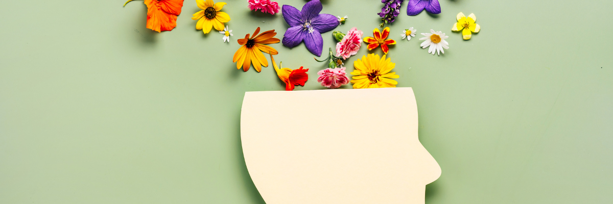 Images articles ebooks (24)